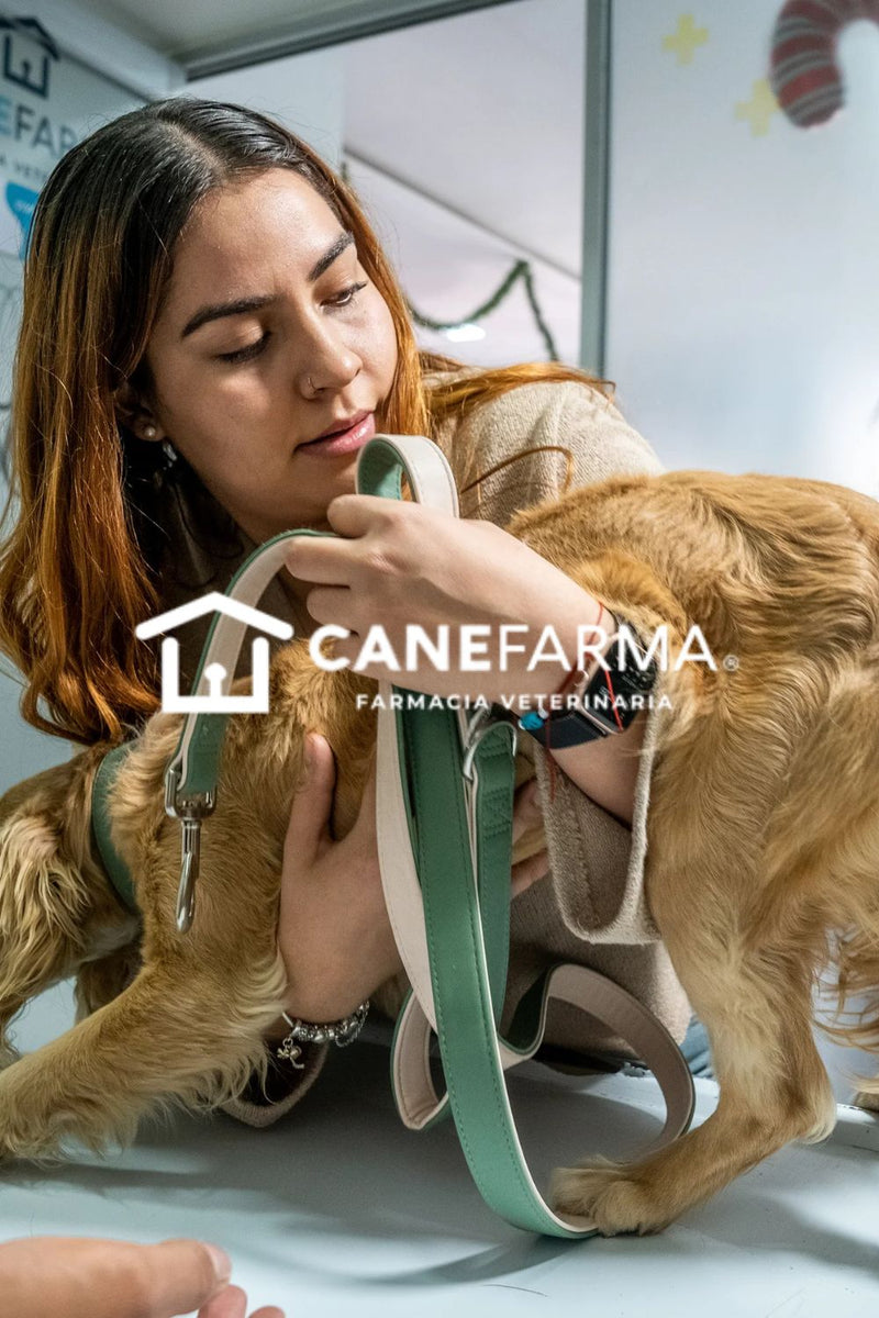 Canefarma