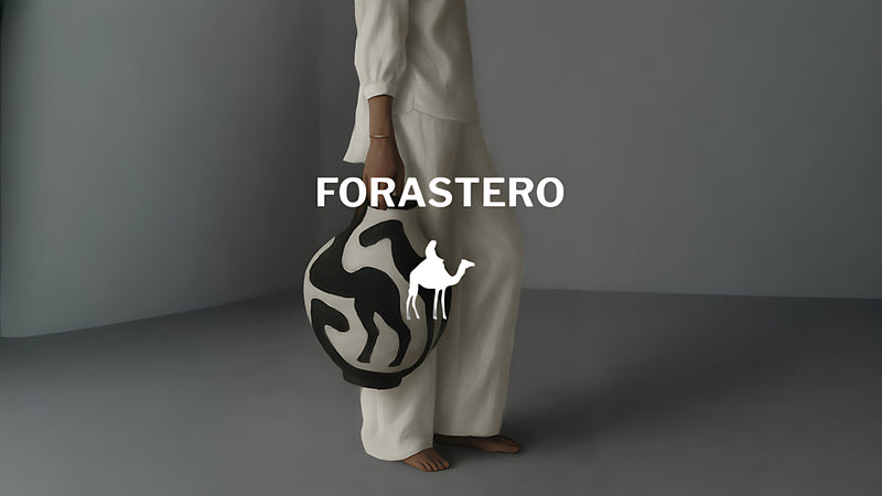 Forastero