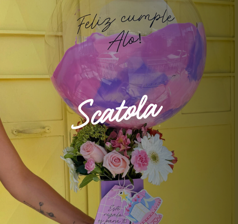 Scatola