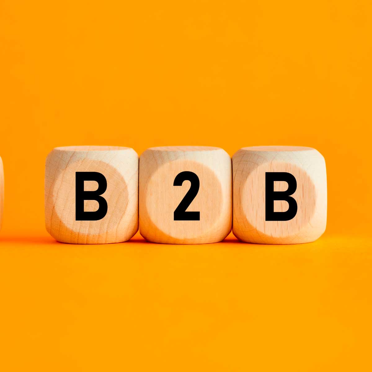 desarrollo de tiendas B2B